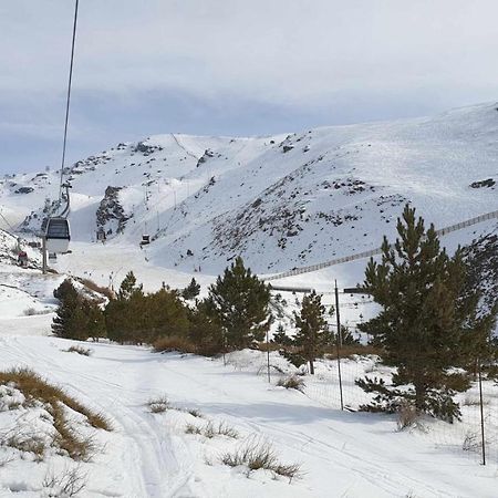 Estudio Mariposa Sierra Nevada Luaran gambar