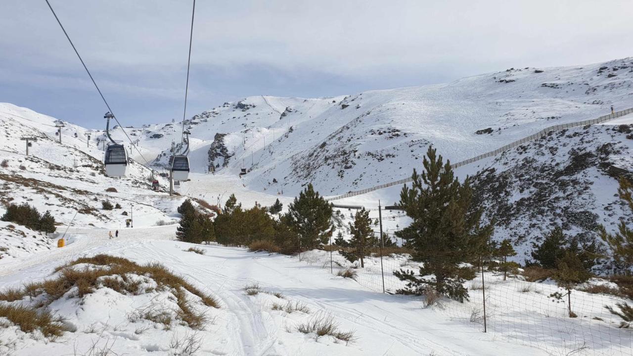 Estudio Mariposa Sierra Nevada Luaran gambar